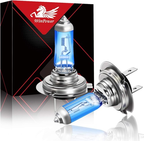 Px26d halogen glühbirnen - v,