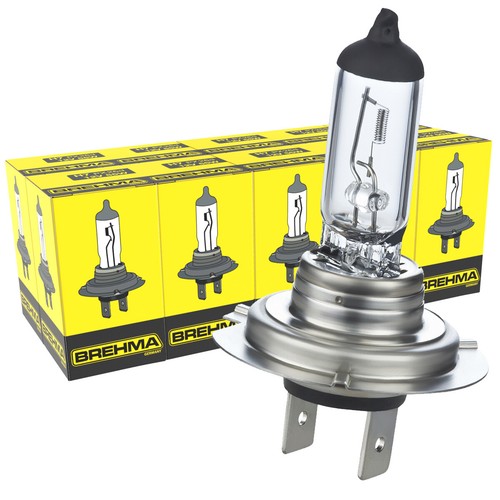 10x birnen 12v - h7, 55w