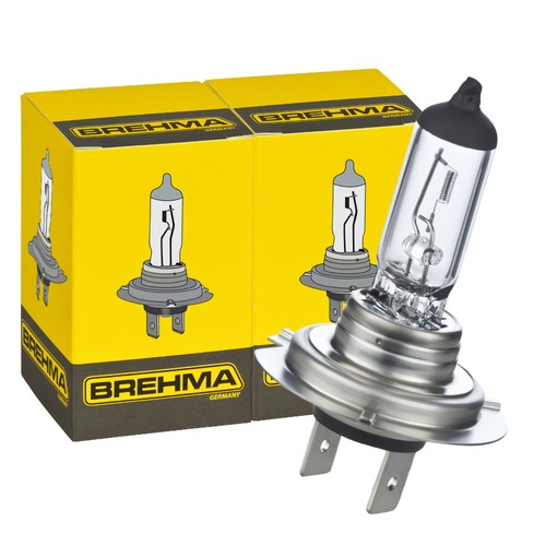 Brehma 12v 55w birnen - 12v,
