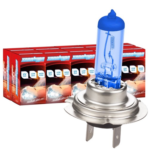 10x xenon look xenohype - 10x,